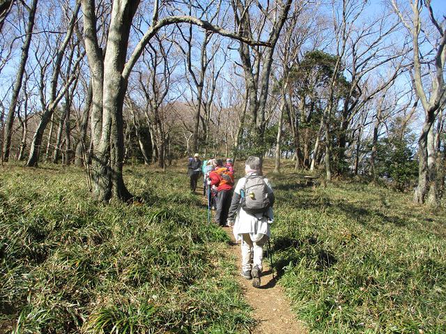 画像3: 2月10日に山旅会 高麗山 ツアーに行ってきました!