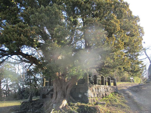 画像1: 先日、山旅会 仙元山から茅塚 ツアーの下見に行ってきました!