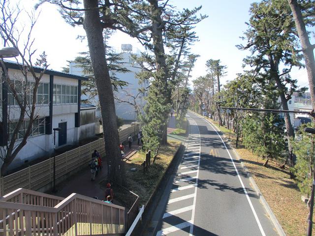 画像9: 2月10日に山旅会 高麗山 ツアーに行ってきました!