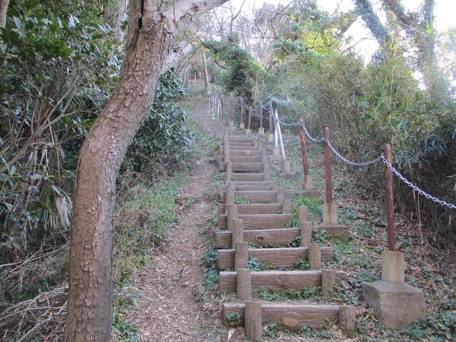 画像4: 先日、山旅会 仙元山から茅塚 ツアーの下見に行ってきました!