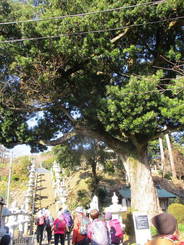 画像2: 2月5日に山旅会 丹沢白山 ツアーに行ってきました!