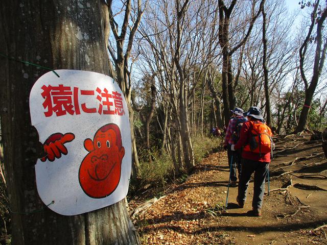 画像9: 2月5日に山旅会 丹沢白山 ツアーに行ってきました!