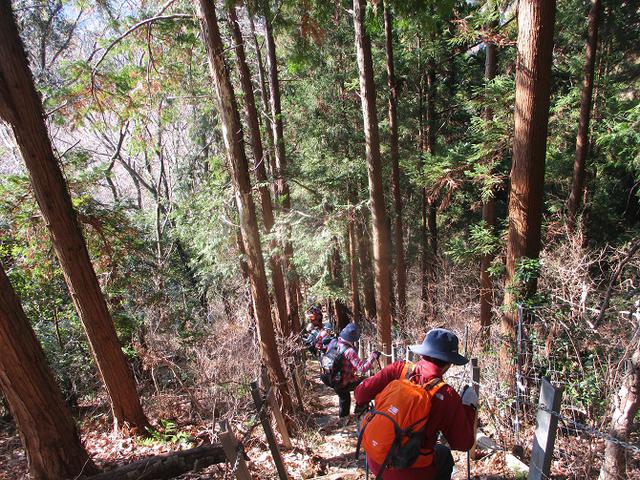 画像6: 2月5日に山旅会 丹沢白山 ツアーに行ってきました!