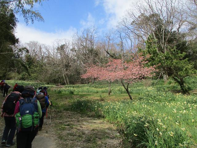画像2: 山旅会ツアー3月までの催行状況のご案内です!