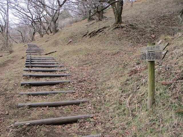 画像10: 来年冬の企画のネタを探して 松田山 に行ってきました!