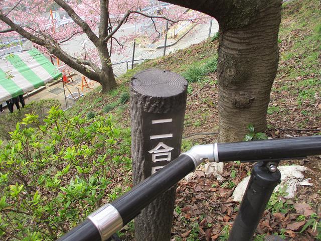 画像5: 来年冬の企画のネタを探して 松田山 に行ってきました!