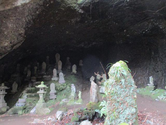 画像7: 2月の山旅会 湯河原城山 の下見に行ってきました!