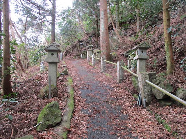 画像8: 2月の山旅会 湯河原城山 の下見に行ってきました!