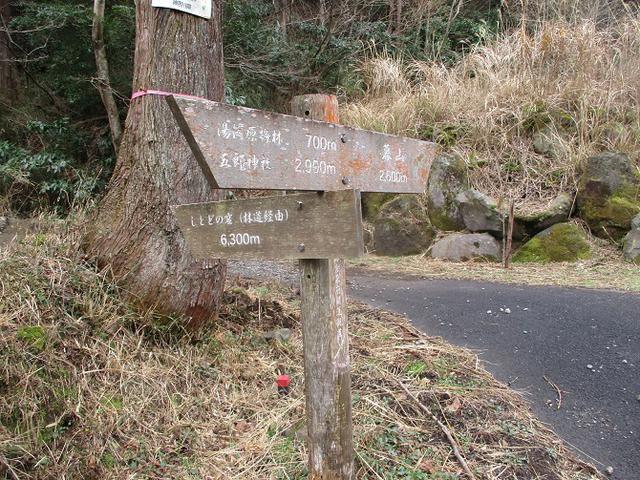 画像4: 2月の山旅会 湯河原城山 の下見に行ってきました!