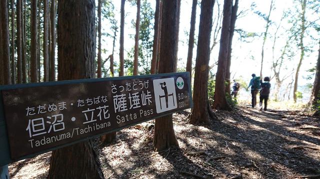 画像7: 2月11日に宮下ガイドのコースで 浜石岳 へ行って来ました♪