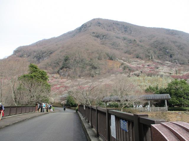 画像1: 2月の山旅会 湯河原城山 の下見に行ってきました!