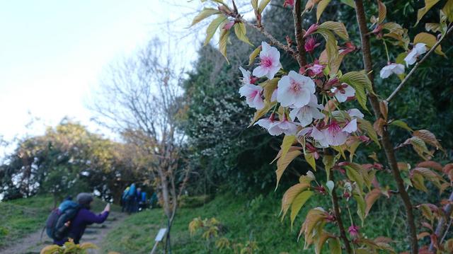 画像8: 2月11日に宮下ガイドのコースで 浜石岳 へ行って来ました♪