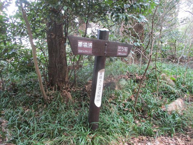 画像8: 2月の山旅会 真鶴半島ハイクと湯河原梅林 の下見に行ってきました!