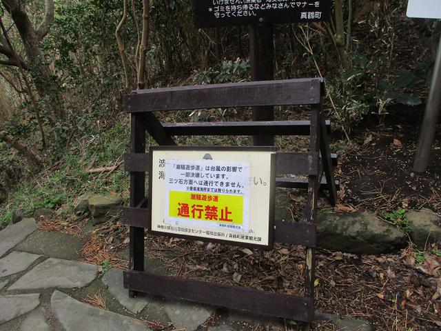 画像4: 2月の山旅会 真鶴半島ハイクと湯河原梅林 の下見に行ってきました!