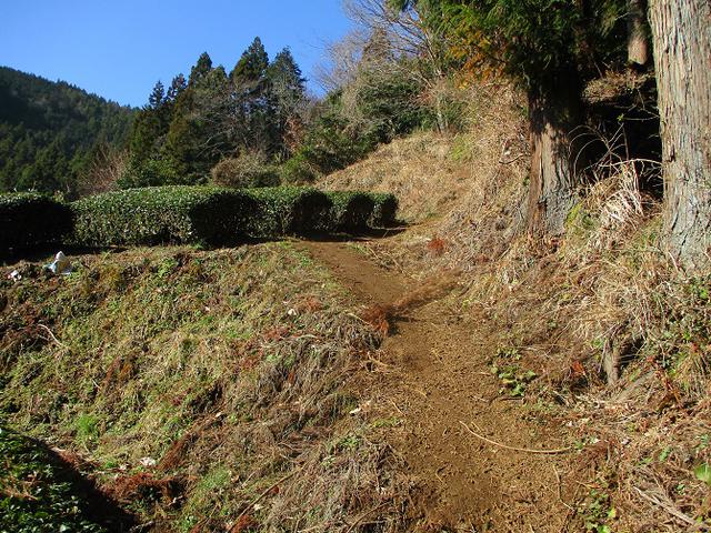 画像1: 2月17日に山旅会 シダンゴ山 ツアーにいってきました!
