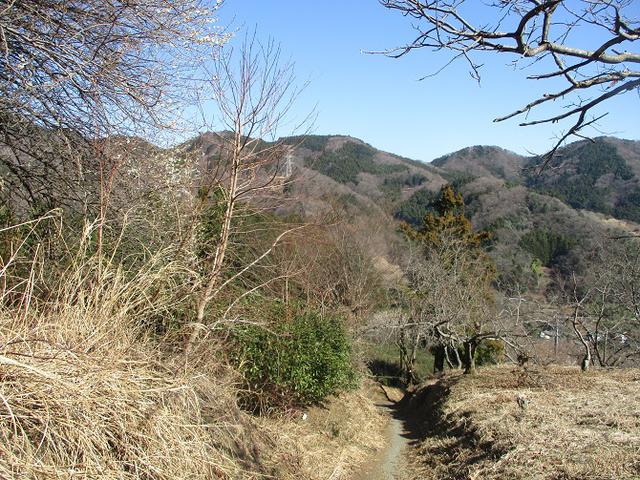 画像6: 2月17日に山旅会 シダンゴ山 ツアーにいってきました!
