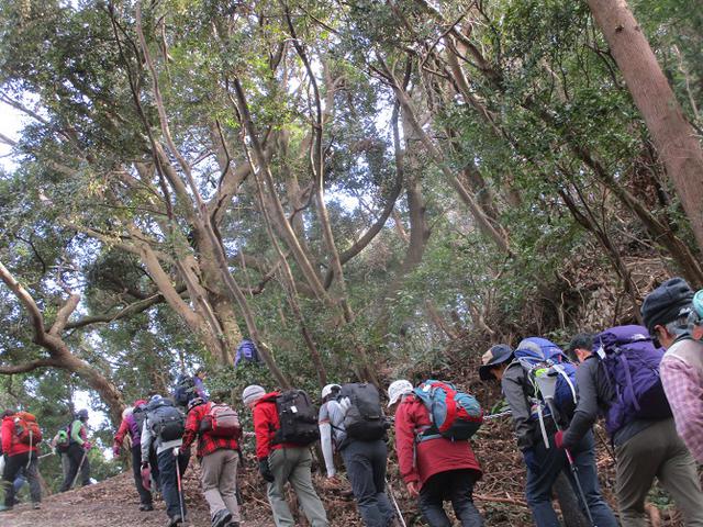 画像2: 2月12日に岡田ガイドのコースで千葉の 御殿山 へ行ってきました♪