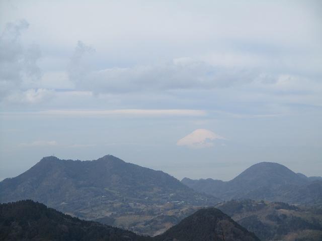 画像8: 2月12日に岡田ガイドのコースで千葉の 御殿山 へ行ってきました♪