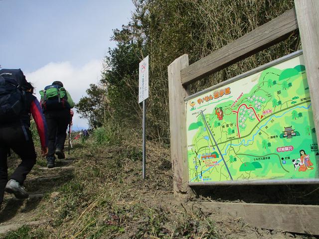 画像10: 2月12日に岡田ガイドのコースで千葉の 御殿山 へ行ってきました♪