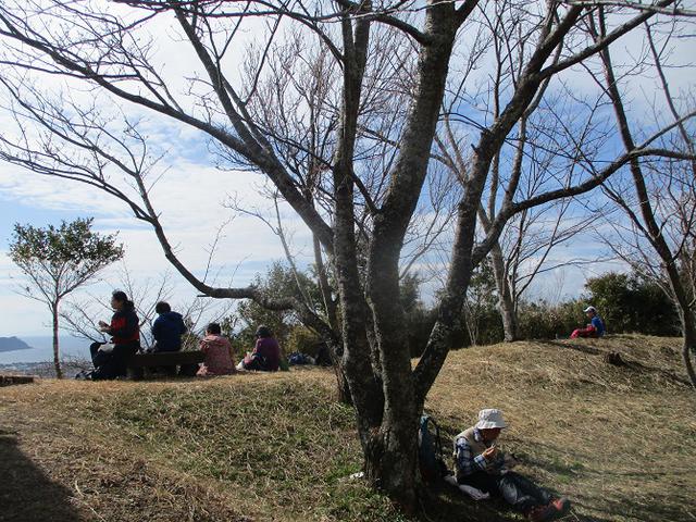 画像12: 2月12日に岡田ガイドのコースで千葉の 御殿山 へ行ってきました♪