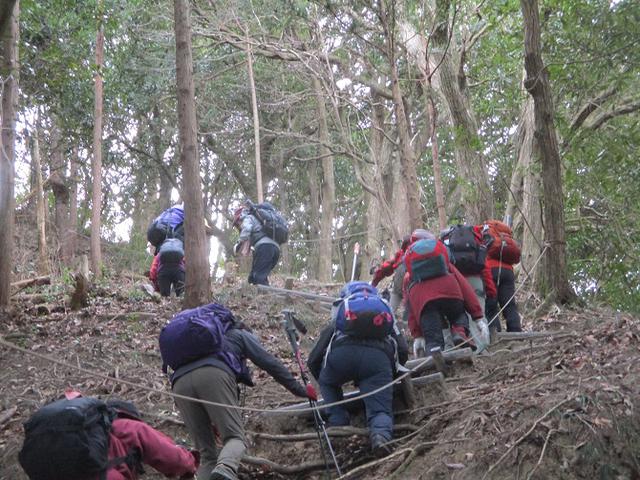 画像6: 2月12日に岡田ガイドのコースで千葉の 御殿山 へ行ってきました♪
