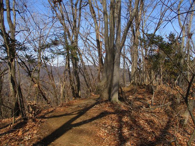 画像8: 3月の山旅会 秩父・破風山 の下見に行ってきました!