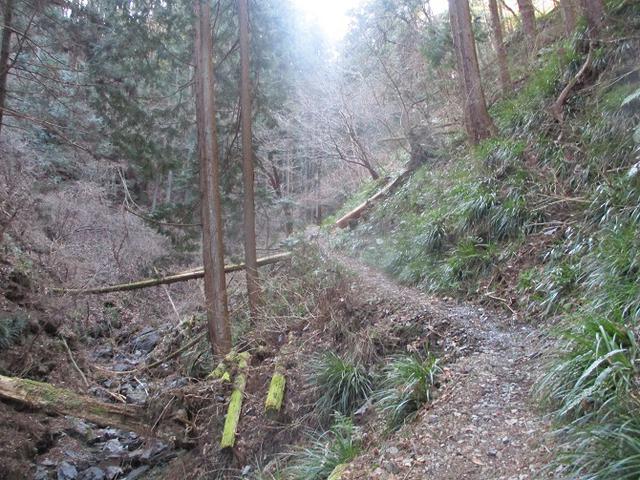 画像3: 3月の山旅会 秩父・破風山 の下見に行ってきました!