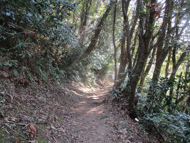 画像8: 3月の山旅会 大楠山から衣笠城跡 ツアーの下見に行ってきました!