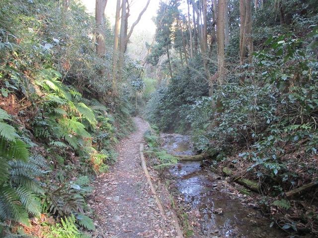 画像6: 3月の山旅会 大楠山から衣笠城跡 ツアーの下見に行ってきました!