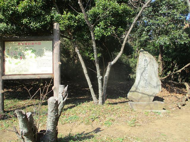 画像9: 3月の山旅会 大楠山から衣笠城跡 ツアーの下見に行ってきました!
