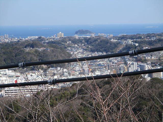 画像12: 3月の山旅会 大楠山から衣笠城跡 ツアーの下見に行ってきました!