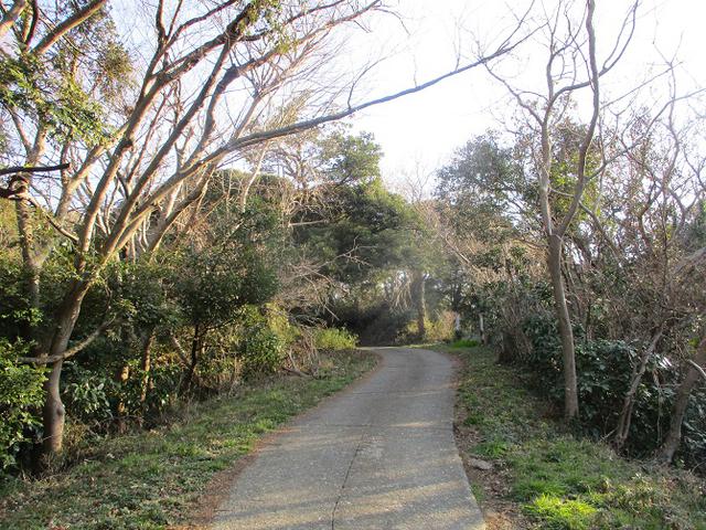 画像1: 3月の山旅会 大楠山から衣笠城跡 ツアーの下見に行ってきました!