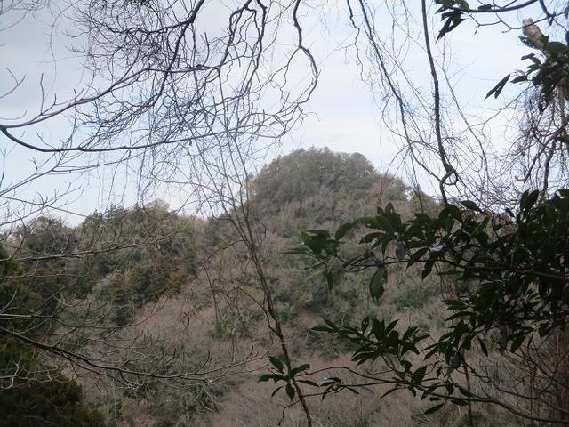 画像11: 2月22日に山旅会 仙元山から茅塚 ツアーに行ってきました!