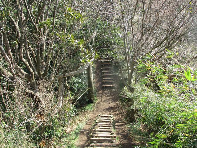 画像3: 2月22日に山旅会 仙元山から茅塚 ツアーに行ってきました!