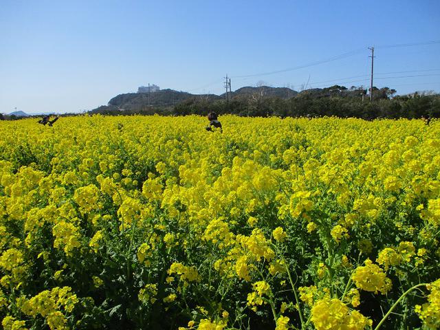 画像11: 本日は田原アルプスツアー下見のご報告です!