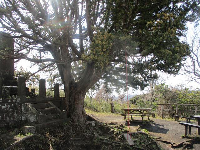 画像2: 2月22日に山旅会 仙元山から茅塚 ツアーに行ってきました!
