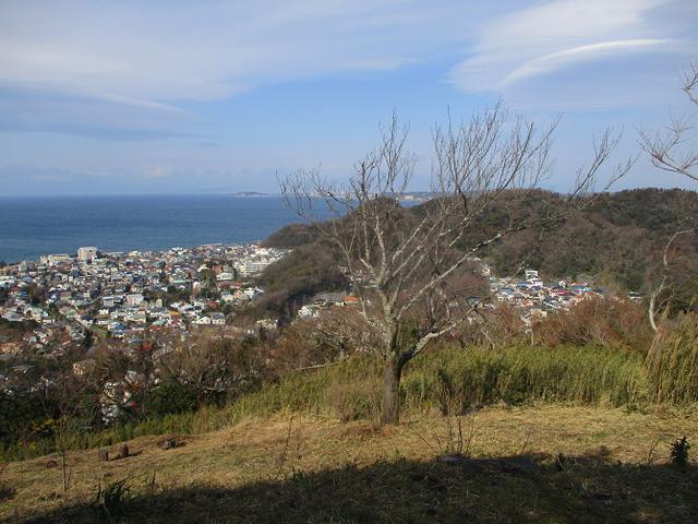 画像1: 2月22日に山旅会 仙元山から茅塚 ツアーに行ってきました!
