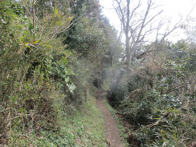 画像4: 2月22日に山旅会 仙元山から茅塚 ツアーに行ってきました!