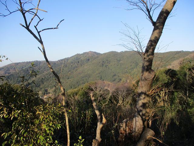 画像4: 3月の山旅会 神石山 の下見に行ってきました!