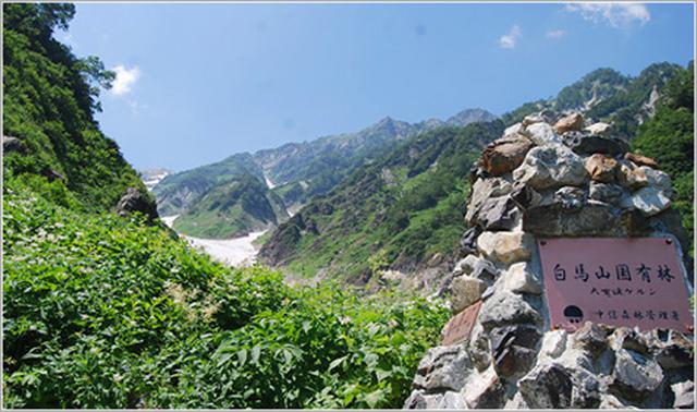 画像: 白馬岳