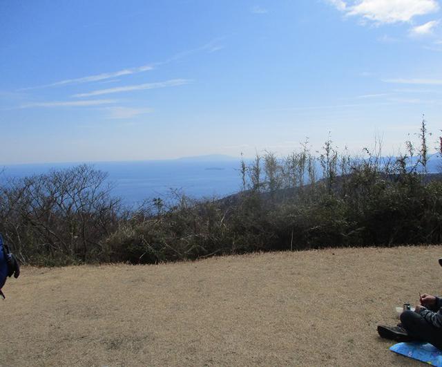 画像11: 2月28日に山旅会 湯河原城山 ツアーに行ってきました!