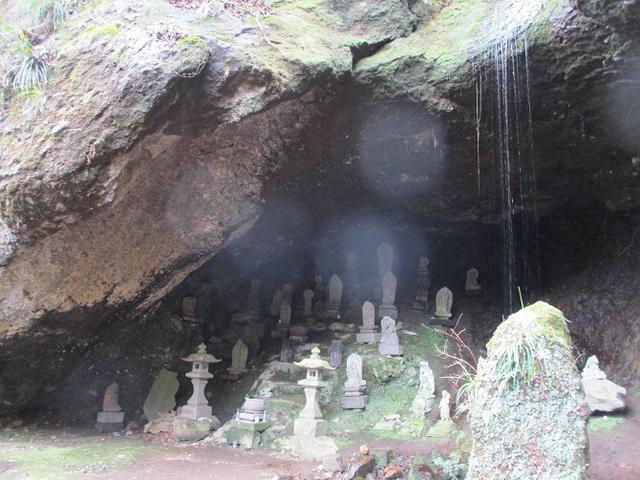 画像5: 2月28日に山旅会 湯河原城山 ツアーに行ってきました!