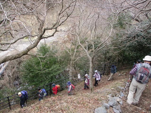 画像3: 2月28日に山旅会 湯河原城山 ツアーに行ってきました!
