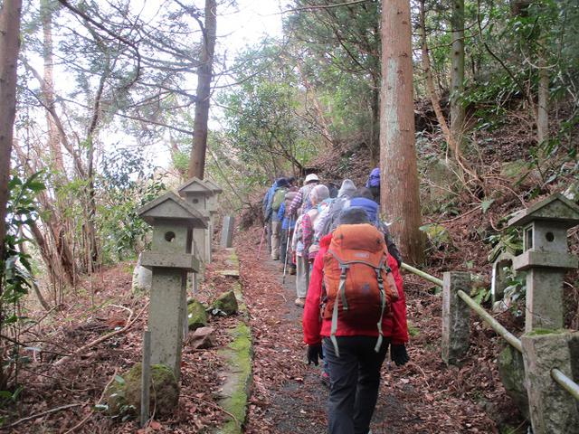 画像6: 2月28日に山旅会 湯河原城山 ツアーに行ってきました!