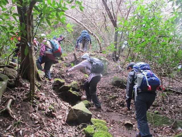 画像4: 2月28日に山旅会 湯河原城山 ツアーに行ってきました!