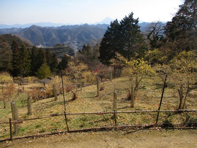 画像2: 来年春の企画素材を探して埼玉県小鹿野町の四阿屋山あたりを歩いてみました!