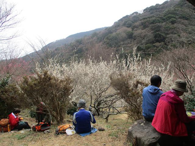 画像13: 岡田ガイドのハイキングコースで、 真鶴半島 へ行ってきました♪