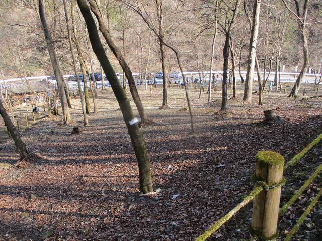 画像11: 来年春の企画素材を探して埼玉県小鹿野町の四阿屋山あたりを歩いてみました!