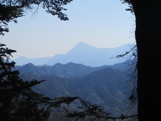 画像7: 来年春の企画素材を探して埼玉県小鹿野町の四阿屋山あたりを歩いてみました!