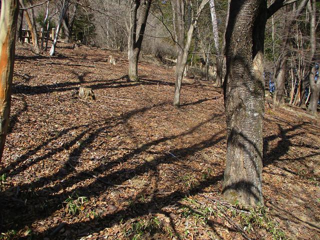 画像3: 来年春の企画素材を探して埼玉県小鹿野町の四阿屋山あたりを歩いてみました!